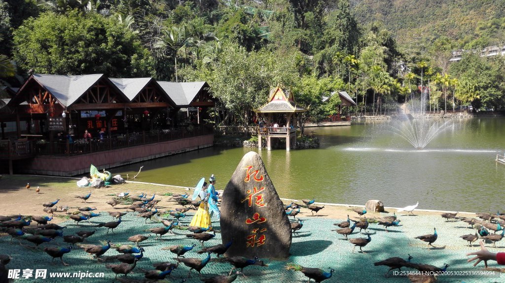 公園