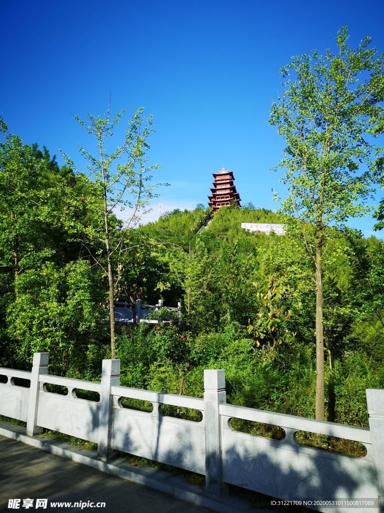 山綠色 踏坡