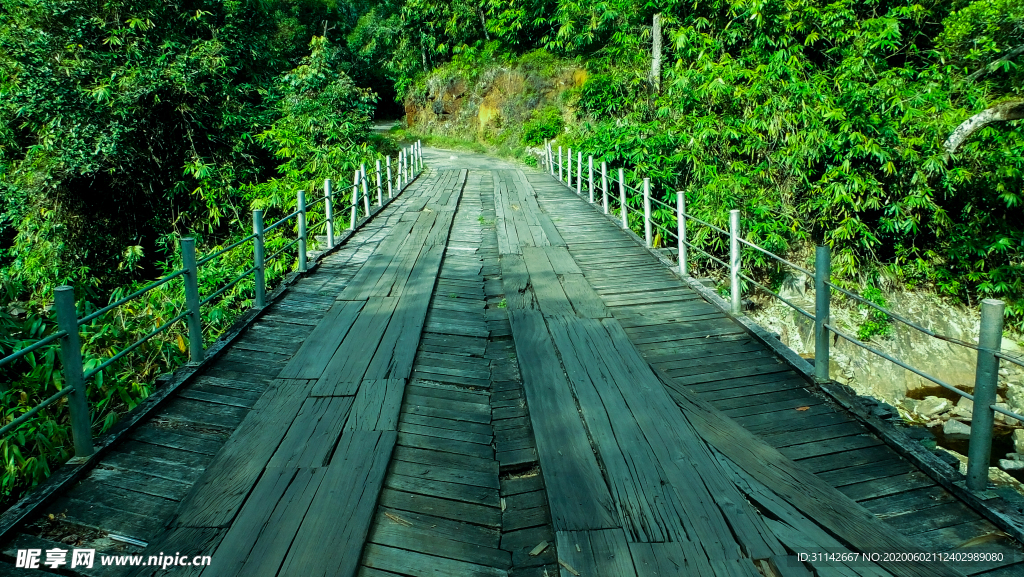 橋