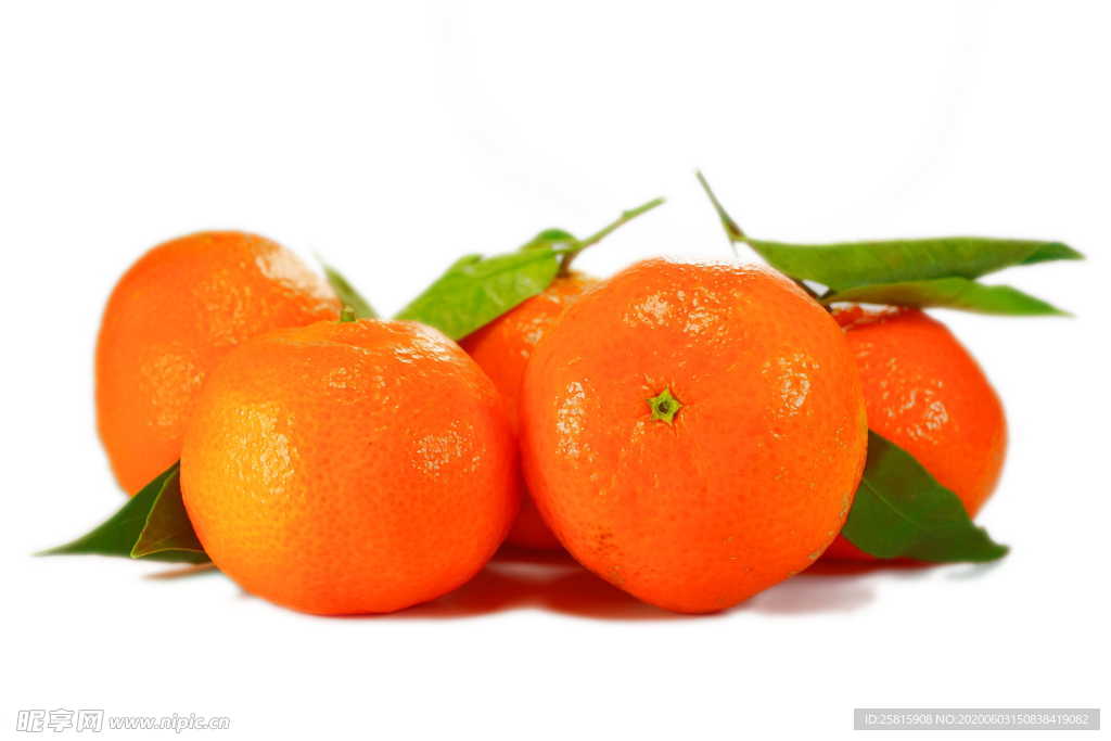 橘子柑橘橙子桔子图片