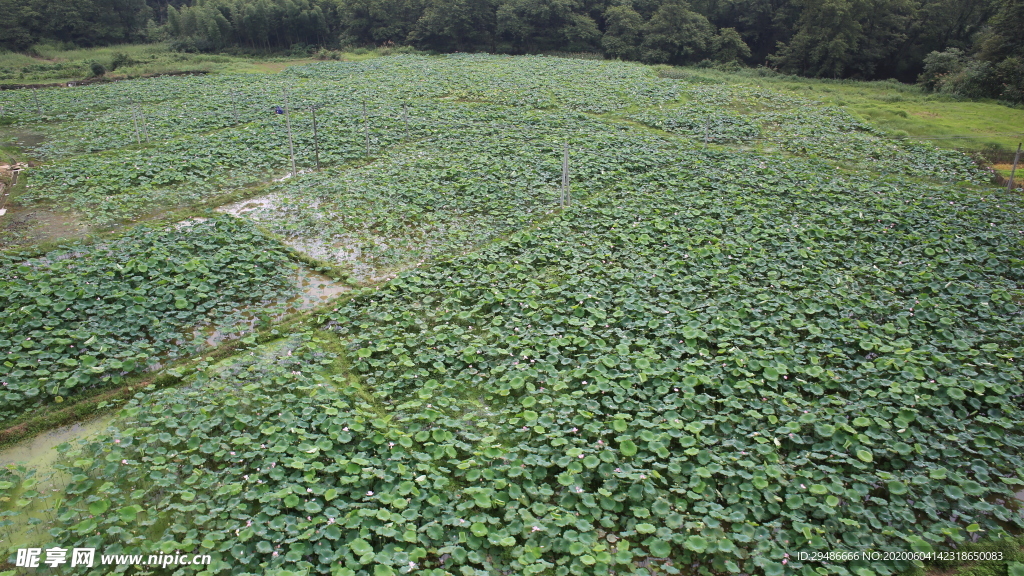 山水武寧 廬山西海