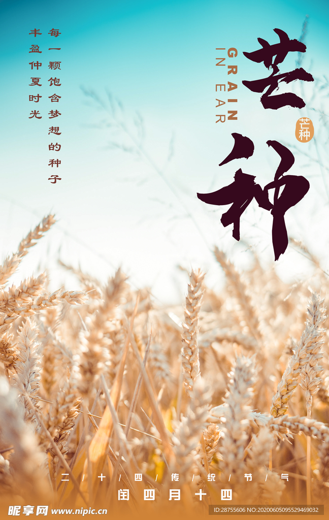 芒種