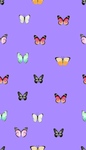 蝴蝶 数码 印花 图案