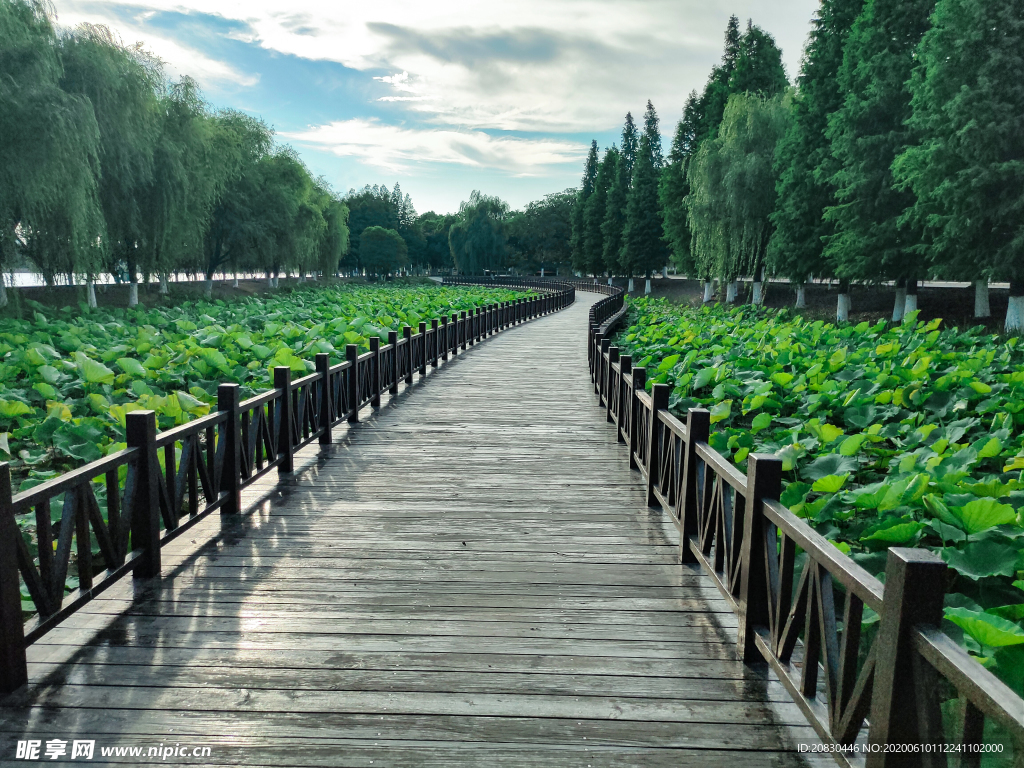 公園長橋