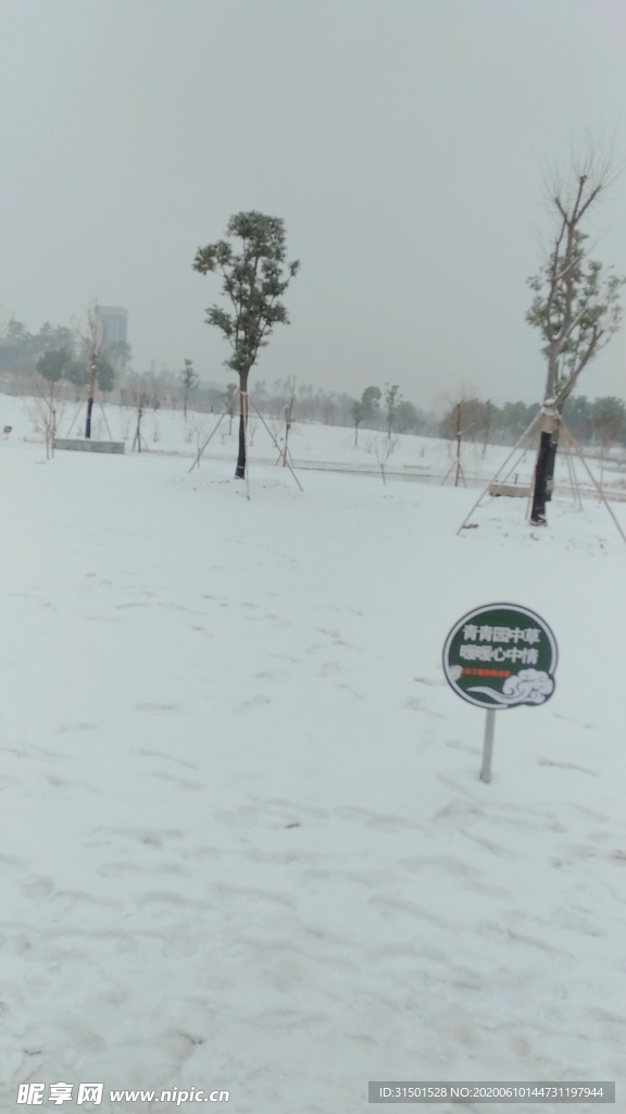 雪地