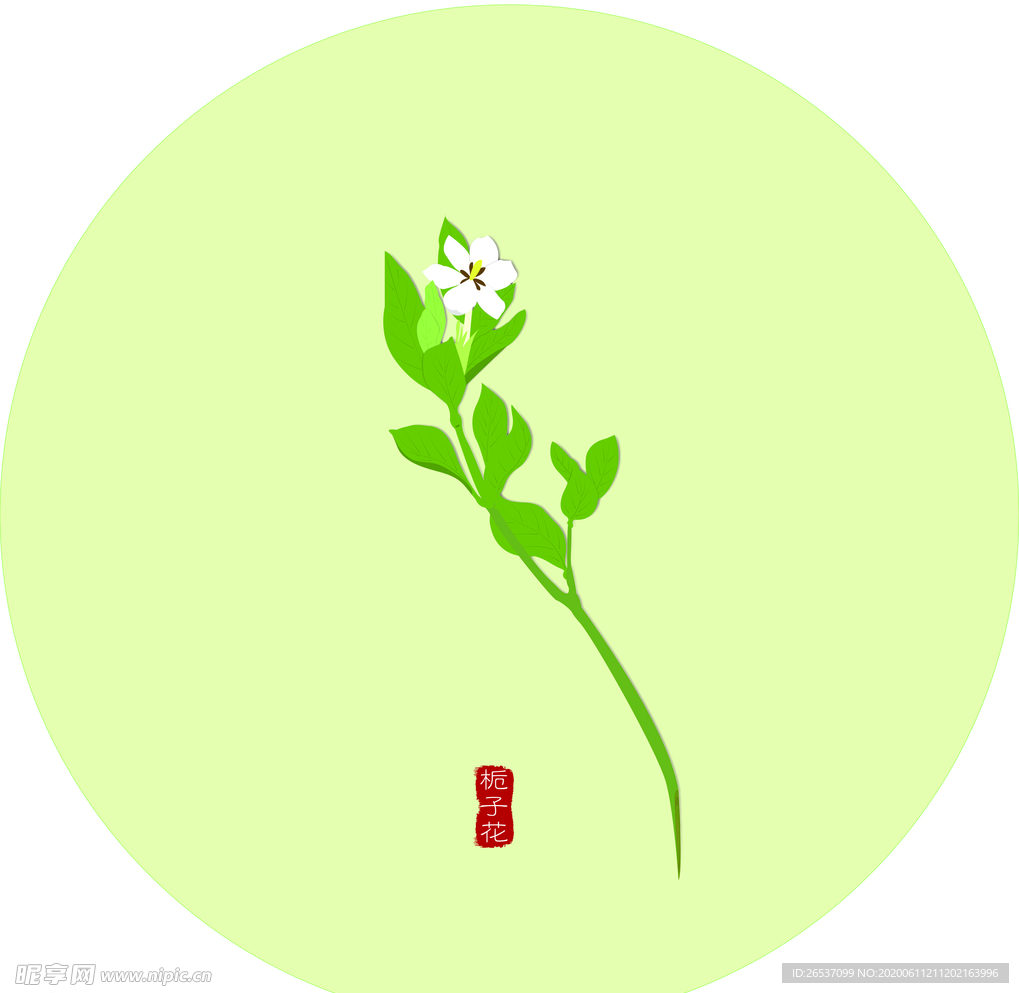 梔子花
