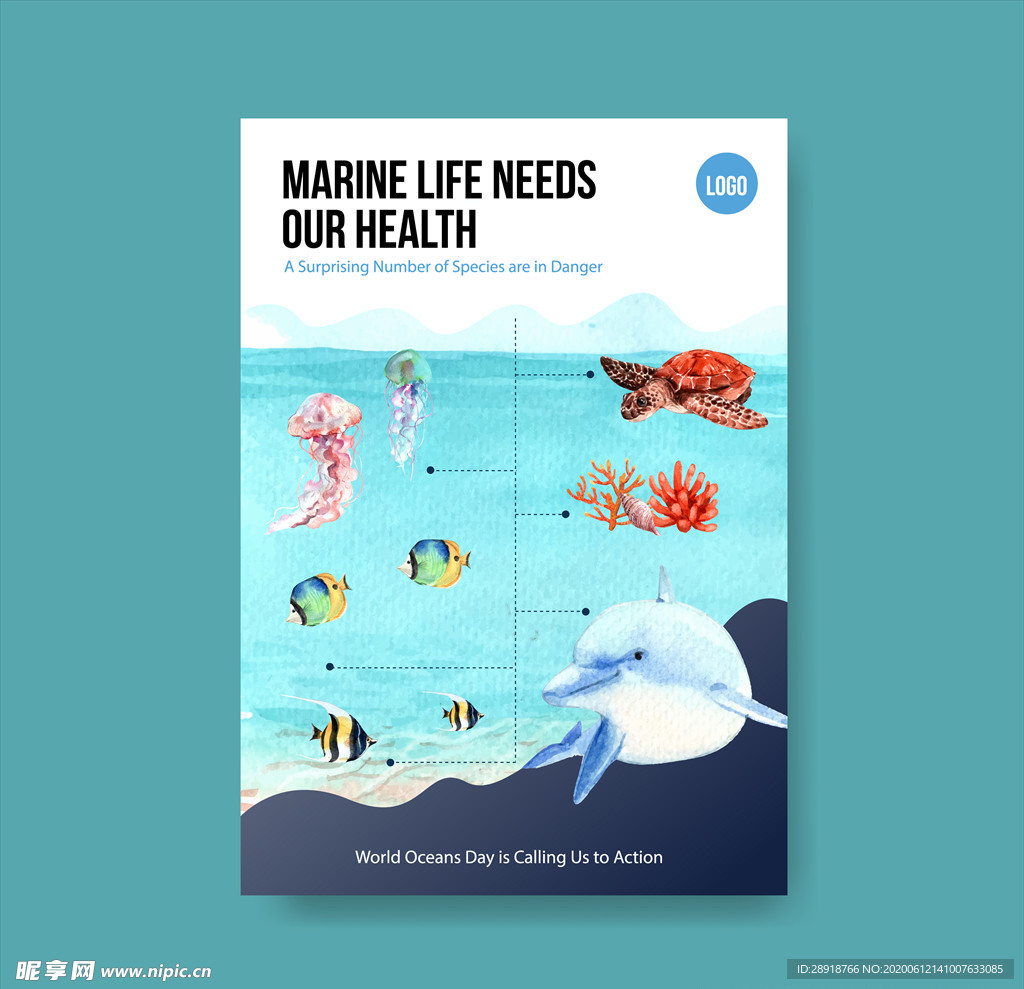 海洋动物海报