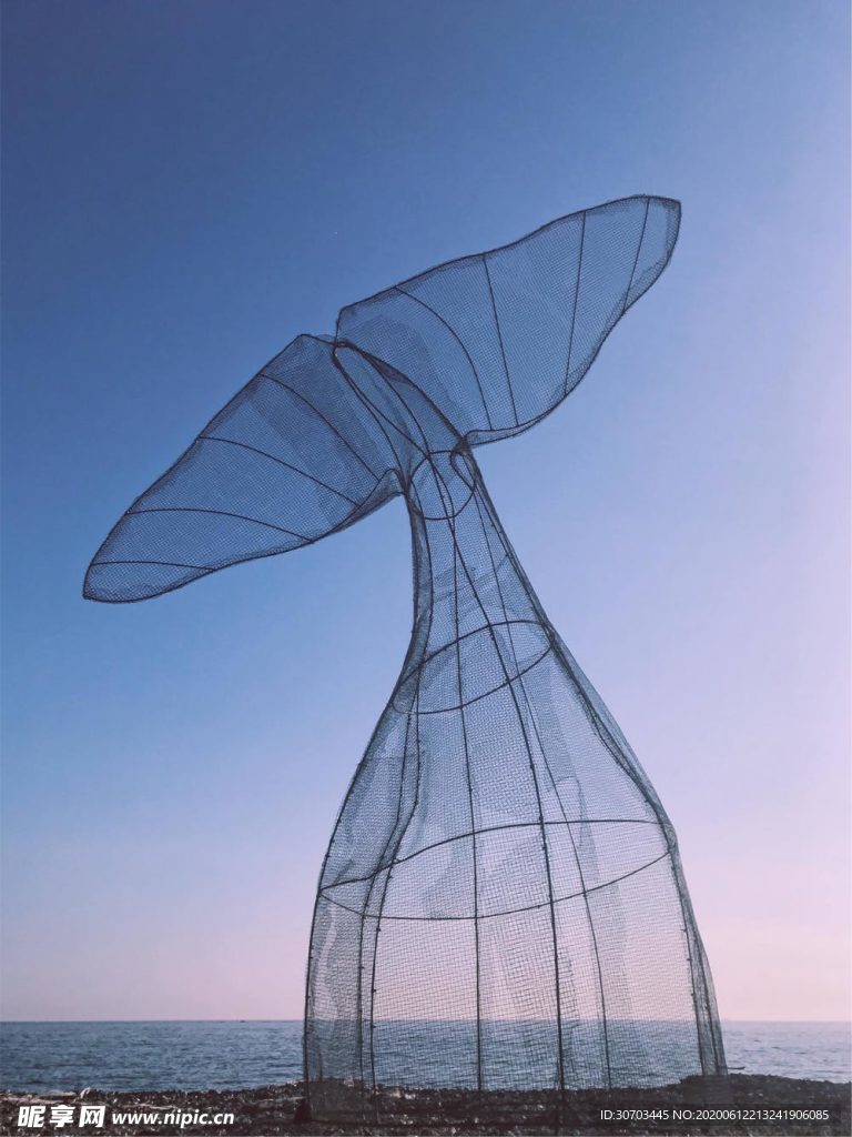 魚尾