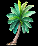 卡通棕榈树