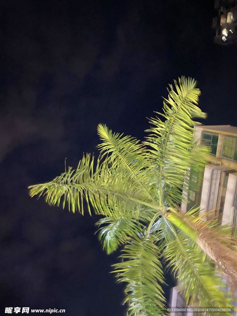 樹下
