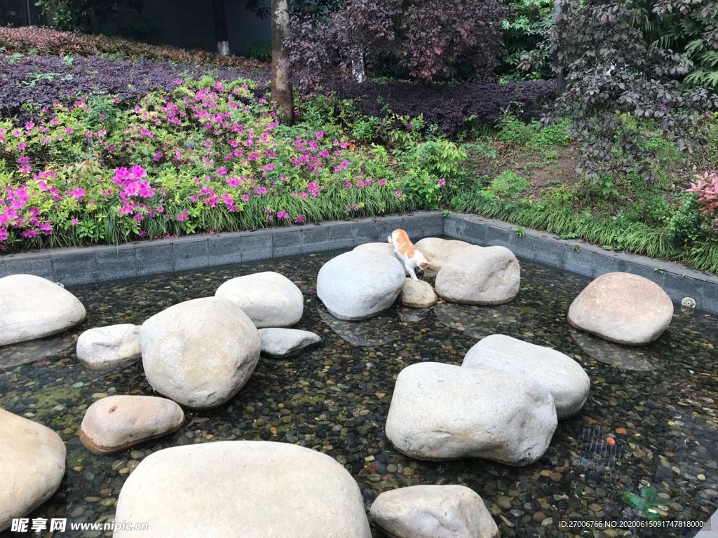公園拍攝