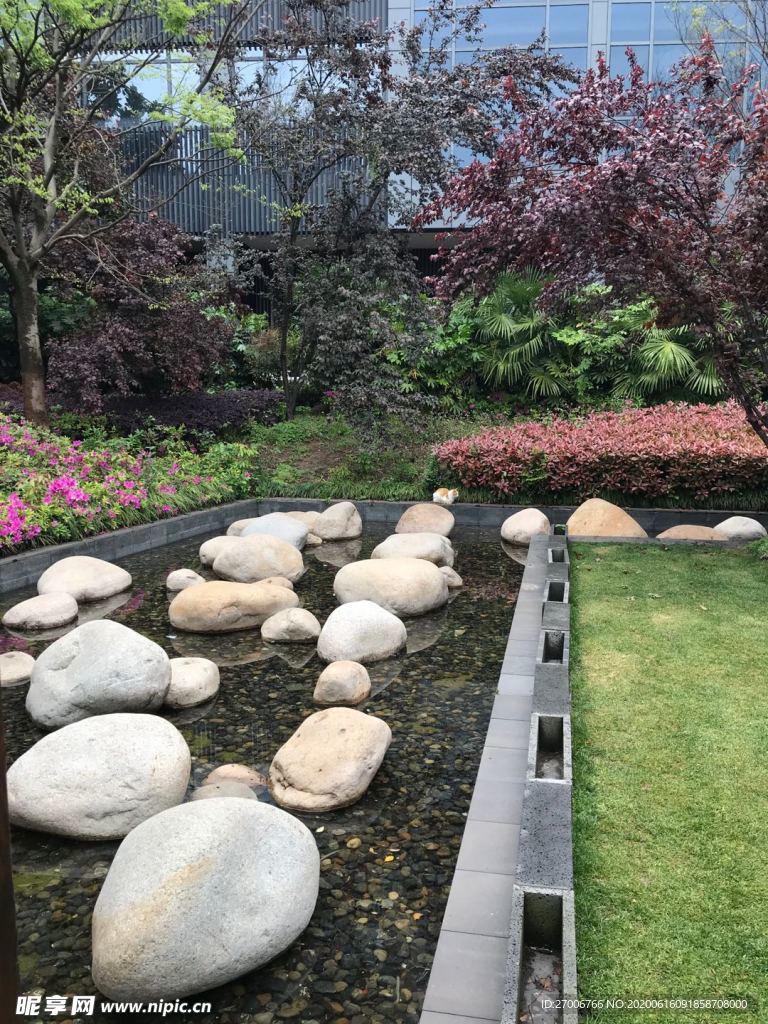 公園拍攝