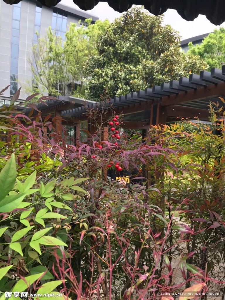 公園拍攝