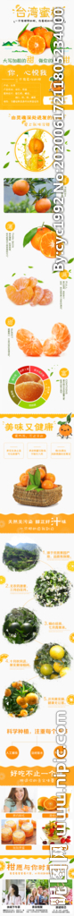 柑橘橙子水果详情页