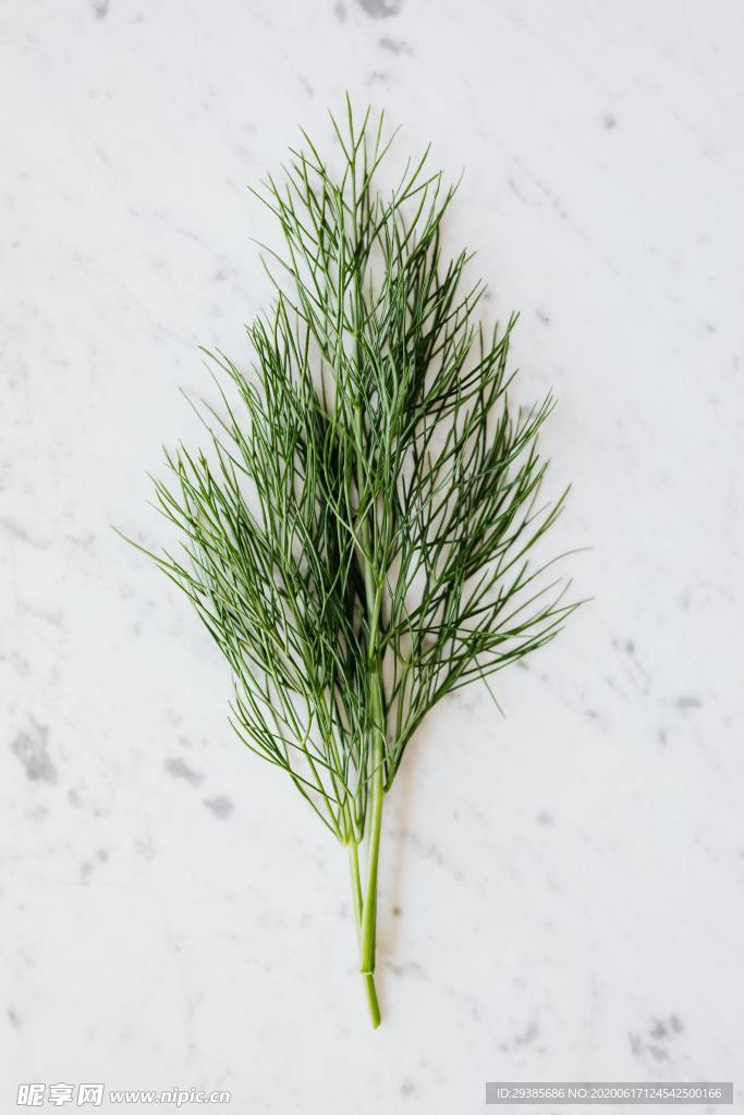 草