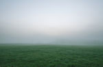 草坪 雾天