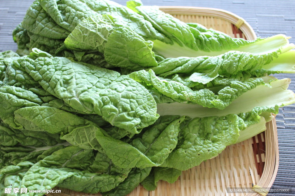 生菜圖片
