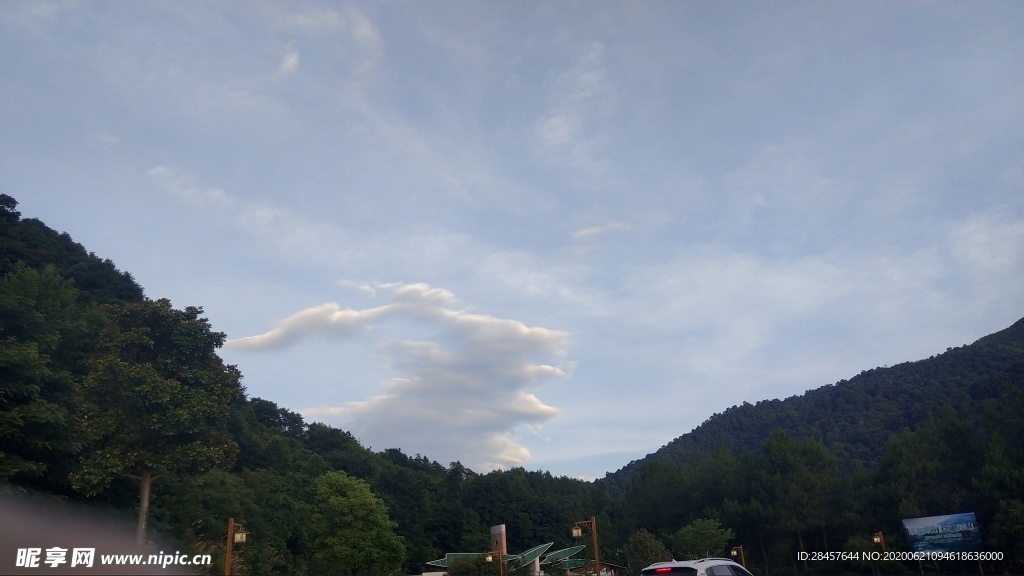 森林 白云