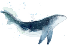 水墨鲸鱼海洋