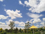 湿地公园 蓝天白云