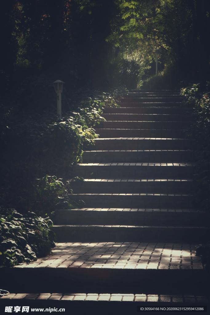 清新生態自然花朵居家背景素材