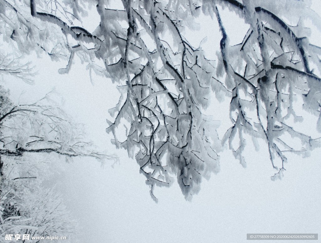 霧凇，大雪