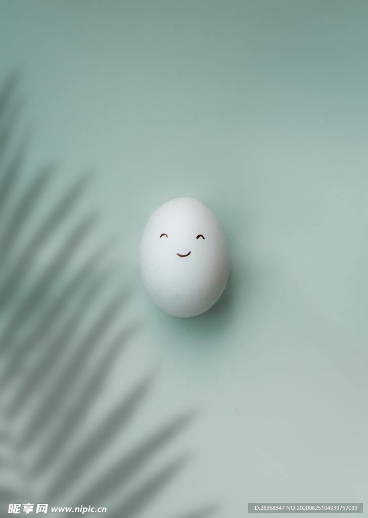 鮮雞蛋