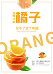 橘子海报