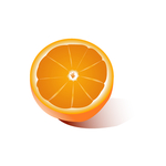 橙子矢量图