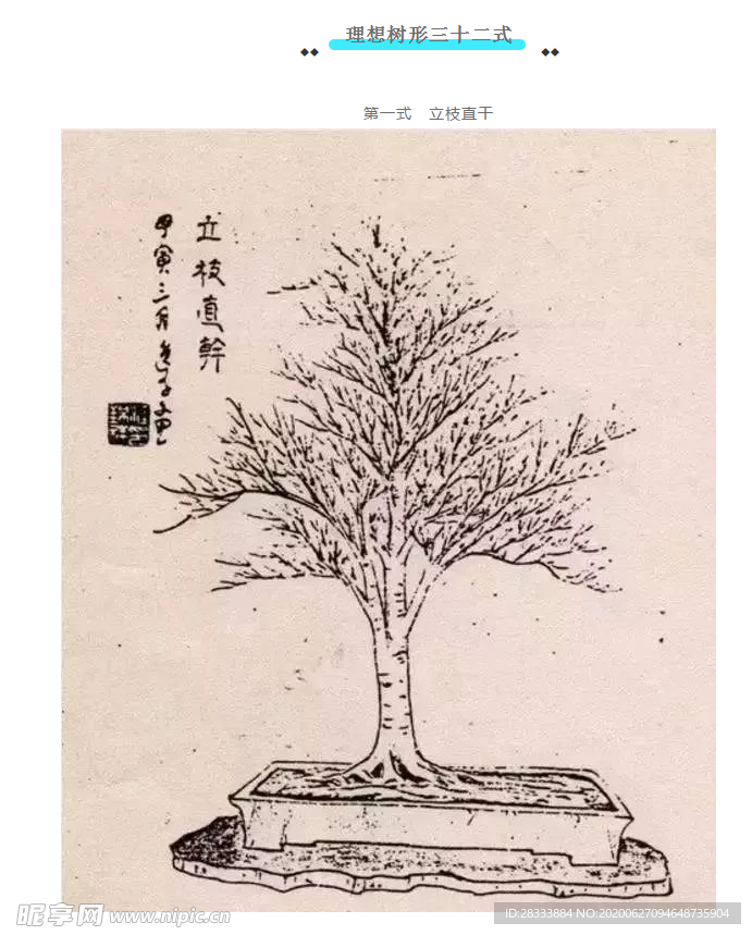 盆景造型一式