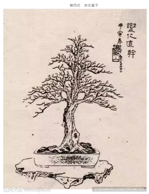 盆景造型四式