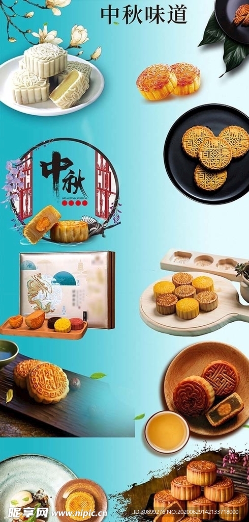 中秋節(jié)月餅 多肉 月餅圖片
