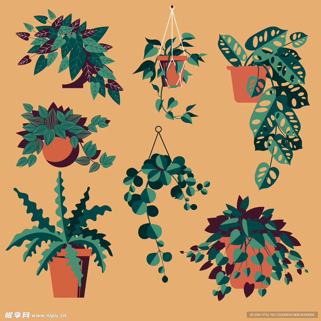 漫畫綠蘿