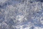 西嶺雪山雪景