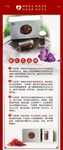 藏红花产品介绍 传统  中国风