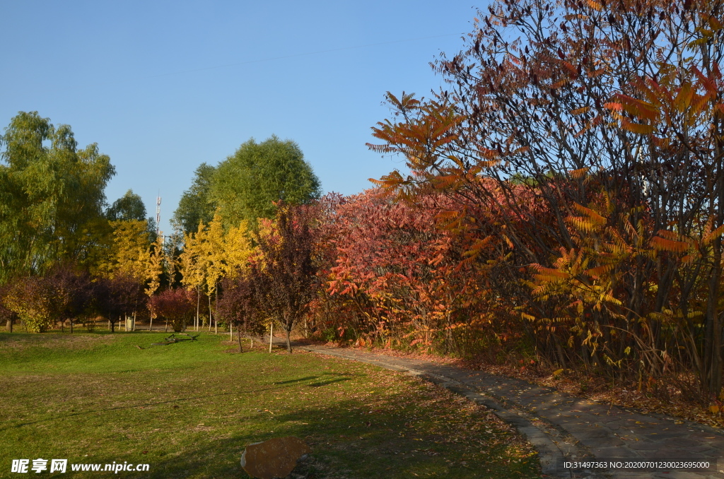 公園秋景