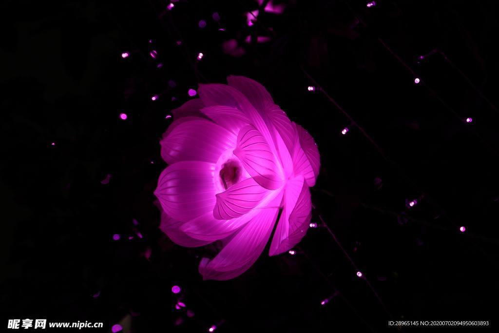 花瓣