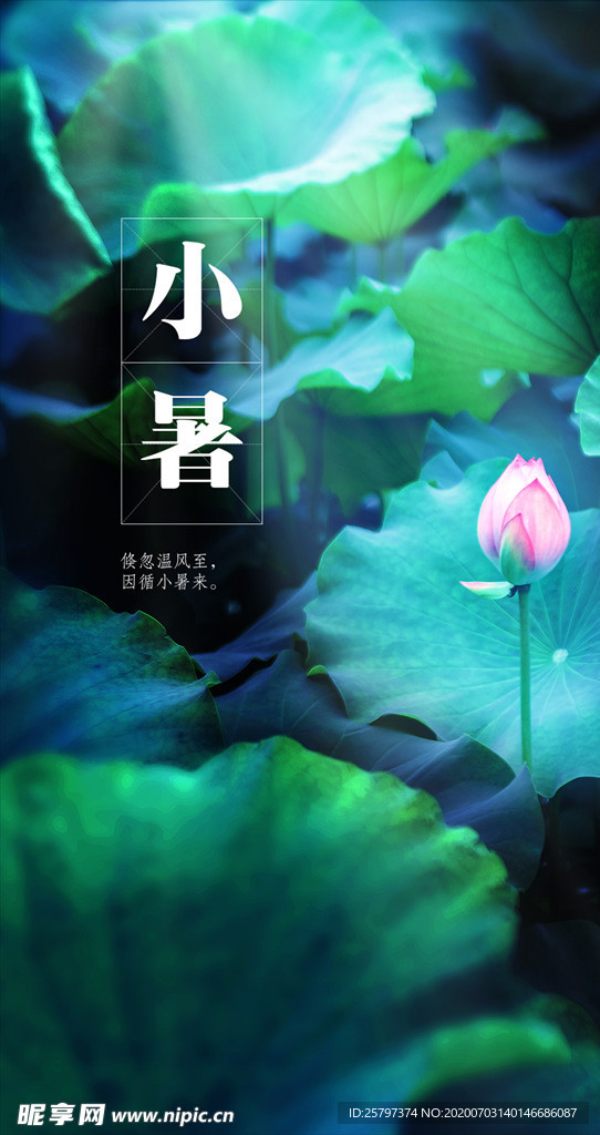 二十四節(jié)氣小暑