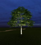 灯光树 夜景树素材 灯光树素材