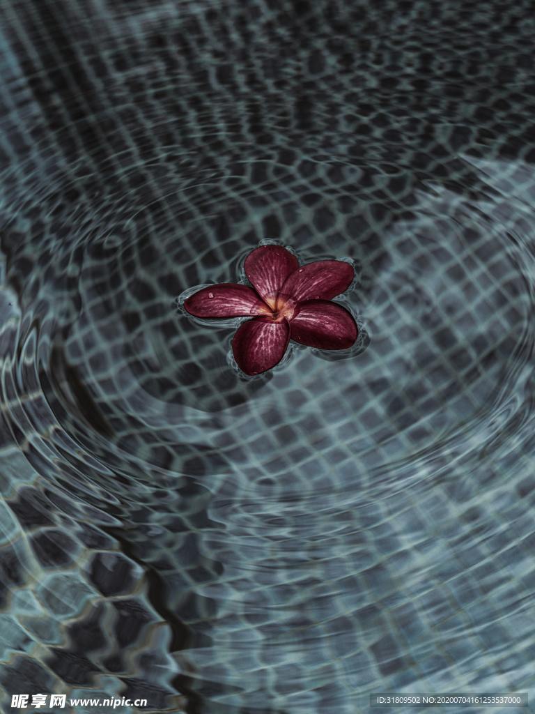 漂浮的花