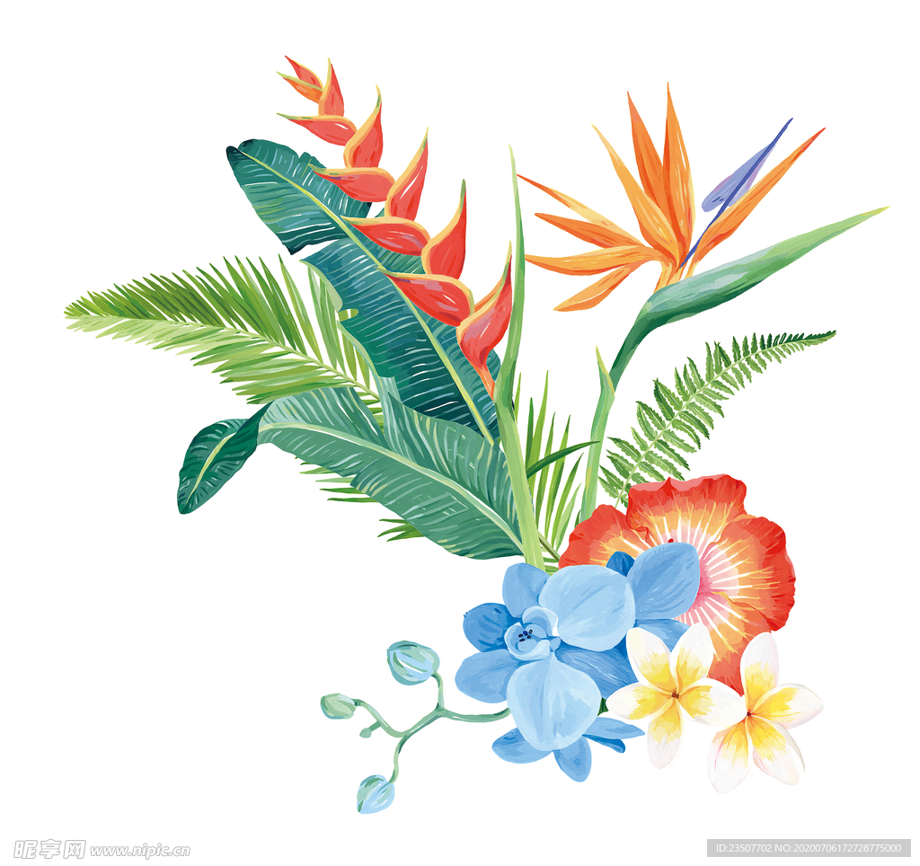 熱帶花