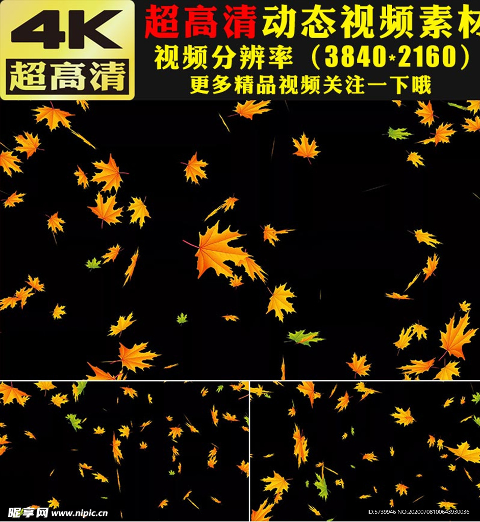 金黄色枫叶下落动画视频素材