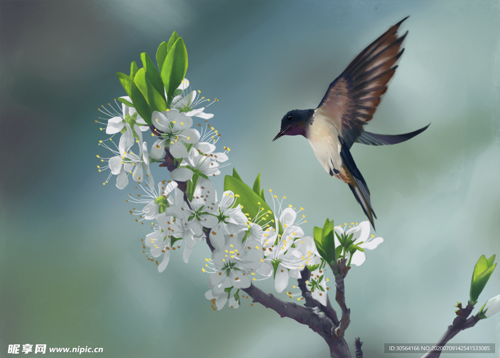 小鸟春季枝头绿色插画背景素材
