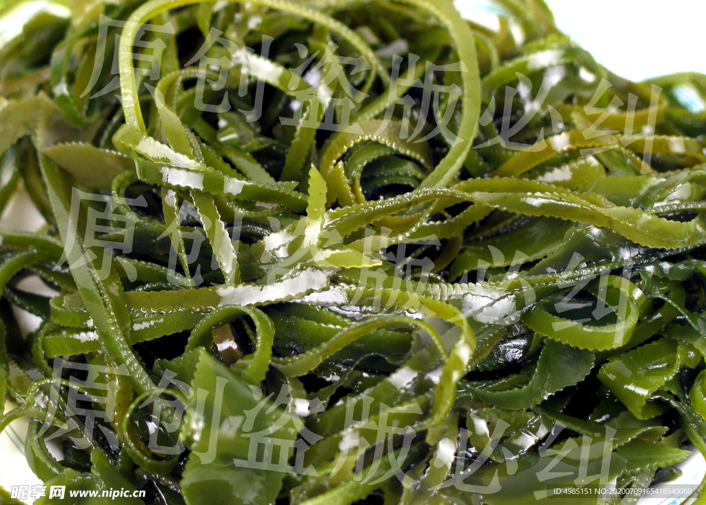 海帶 海帶菜