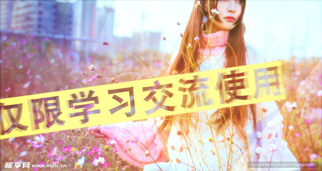 ae模板 ae相冊模板