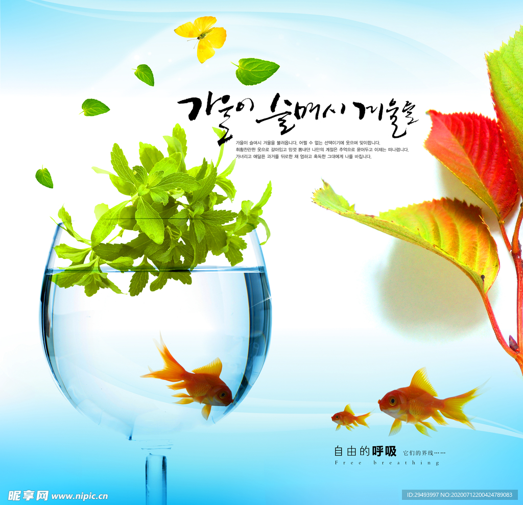 魚和水杯