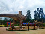 恐龙博物馆展览