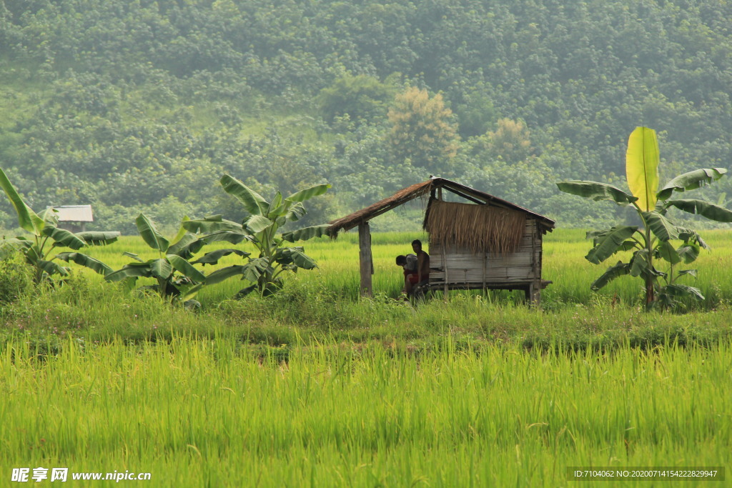 老挝 旅游 田园 自然风景
