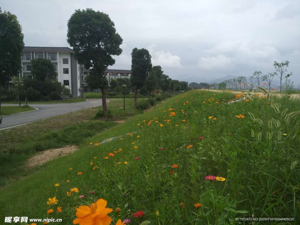 花帶