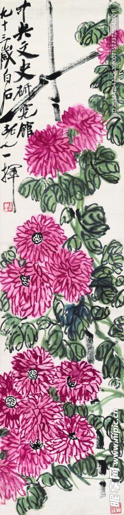 紅菊圖